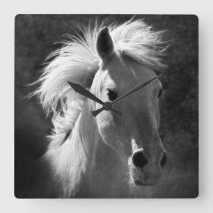 Reloj Cuadrado Retrato V del caballo