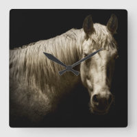 Retrato VI del caballo