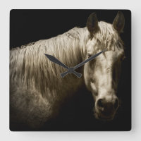Retrato VI del caballo