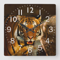 Rich Vibrant Tiger