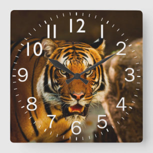 Reloj Cuadrado Rich Vibrant Tiger