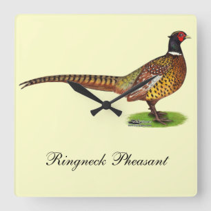 Reloj Cuadrado Ringneck Pheasant Rooster