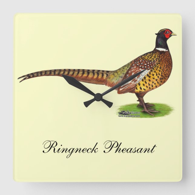 Reloj Cuadrado Ringneck Pheasant Rooster (Anverso)