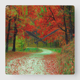 RELOJ CUADRADO ROAD FOREST TREES BOTANICAL NATURE LANDSCAPE 