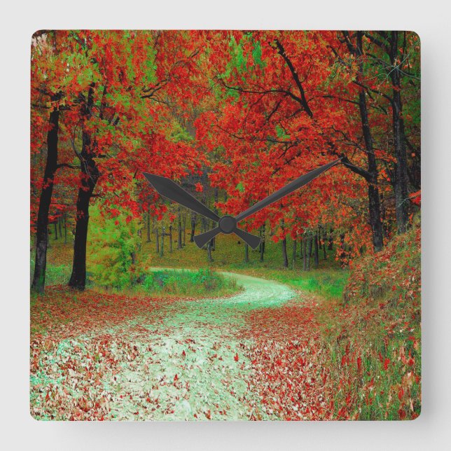 RELOJ CUADRADO ROAD FOREST TREES BOTANICAL NATURE LANDSCAPE  (Anverso)