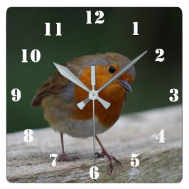 Reloj Cuadrado Robin Clock