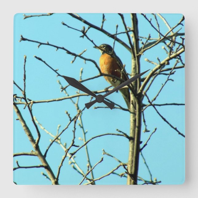 Reloj Cuadrado Robin de primavera (Anverso)