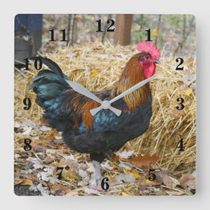Reloj Cuadrado Rooster