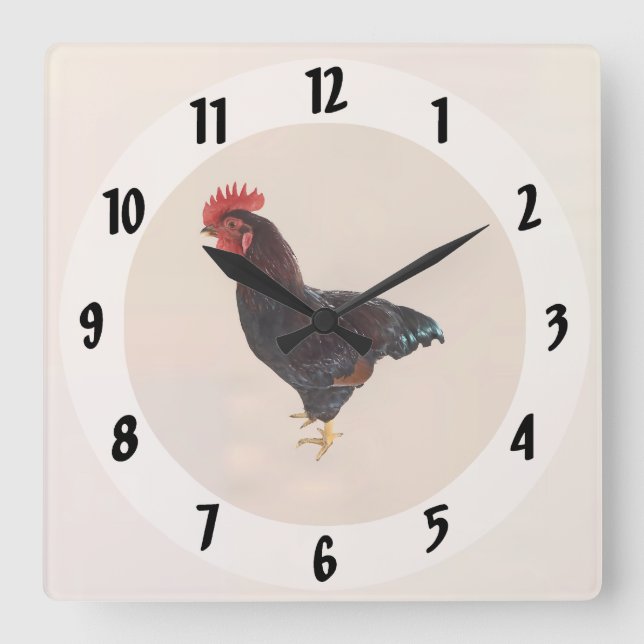 Reloj Cuadrado Rooster de Rhode Island (Anverso)