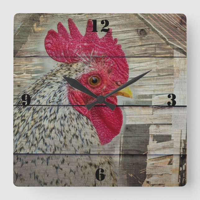 Reloj Cuadrado Rooster Rustic Chicken Coop (Anverso)