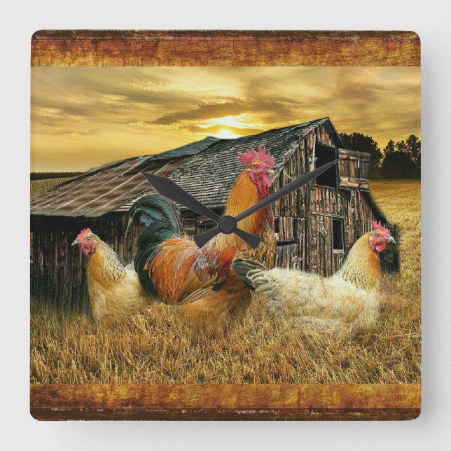 Reloj Cuadrado Rooster Vintage Hens Rustic Barn Coop (Anverso)
