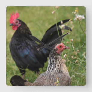 Reloj Cuadrado Rooster y Hen