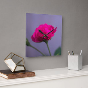 Reloj Cuadrado Rosa de jardín rosa