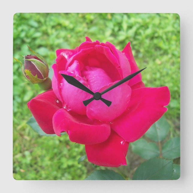 Reloj Cuadrado Rosa en flor (Anverso)