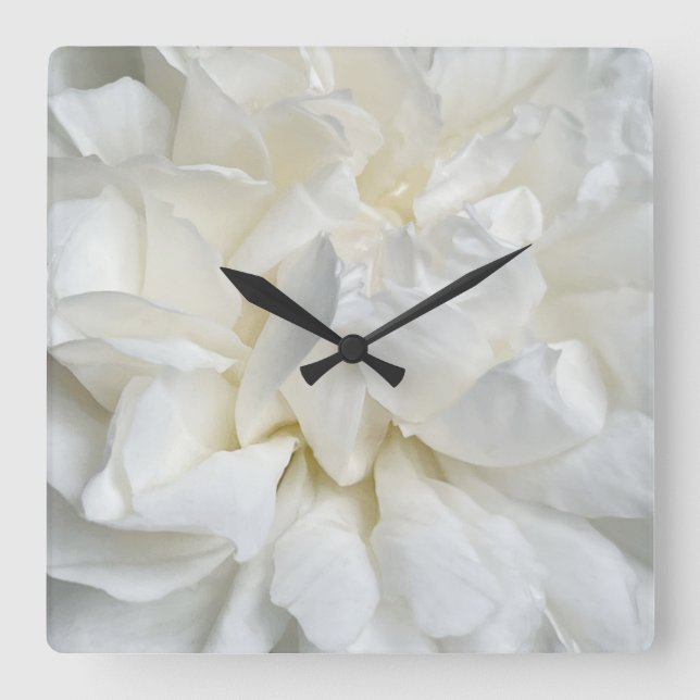 Reloj Cuadrado Rosa inglesa blanca primer plano (Anverso)