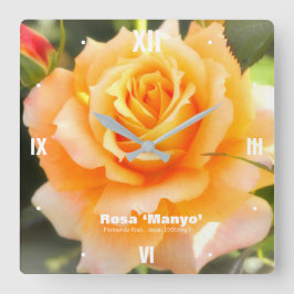 Reloj Cuadrado Rosa ‘Manyo’：Acrylic Wall Clock