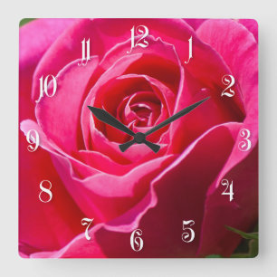 Reloj Cuadrado Rosa roja creciendo en un jardín