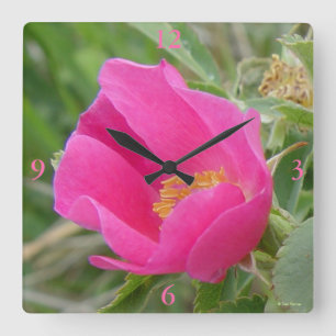 Reloj Cuadrado Rosa silvestre F7 Flor brillante rosa