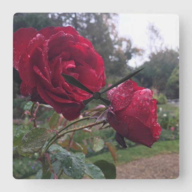 Reloj Cuadrado Rosas Dew Drop (Anverso)