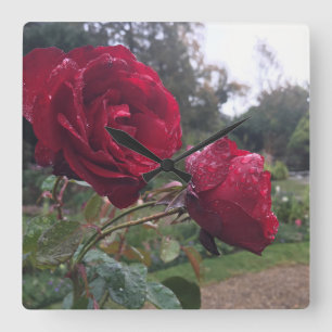 Reloj Cuadrado Rosas Gota de Rocío