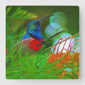 Reloj Cuadrado Rubí del colibrí throated