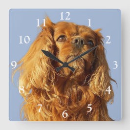 Reloj Cuadrado Ruby Cavalier King Charles Spaniel Dog