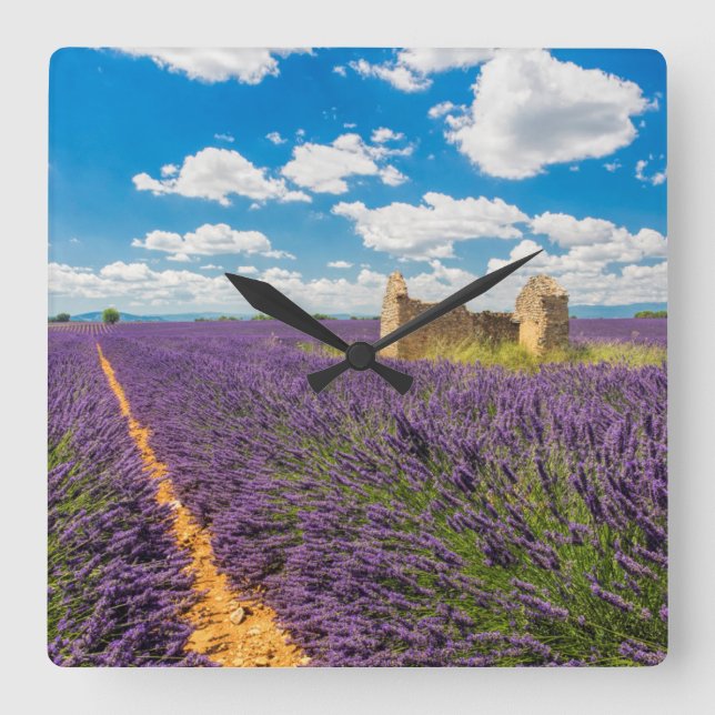 Reloj Cuadrado Ruina en campo de lavanda, Francia (Anverso)