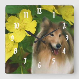 Reloj Cuadrado Sable Collie Dog Art