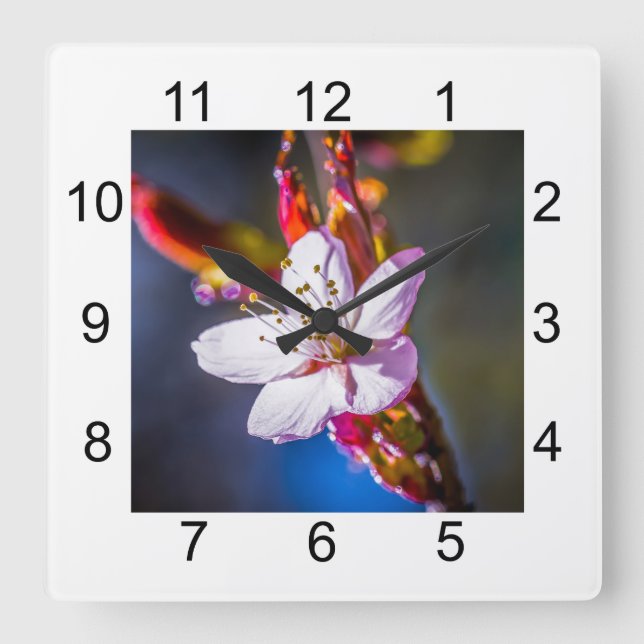 Reloj Cuadrado Sakura - Flor de cerezo japonesa (Anverso)
