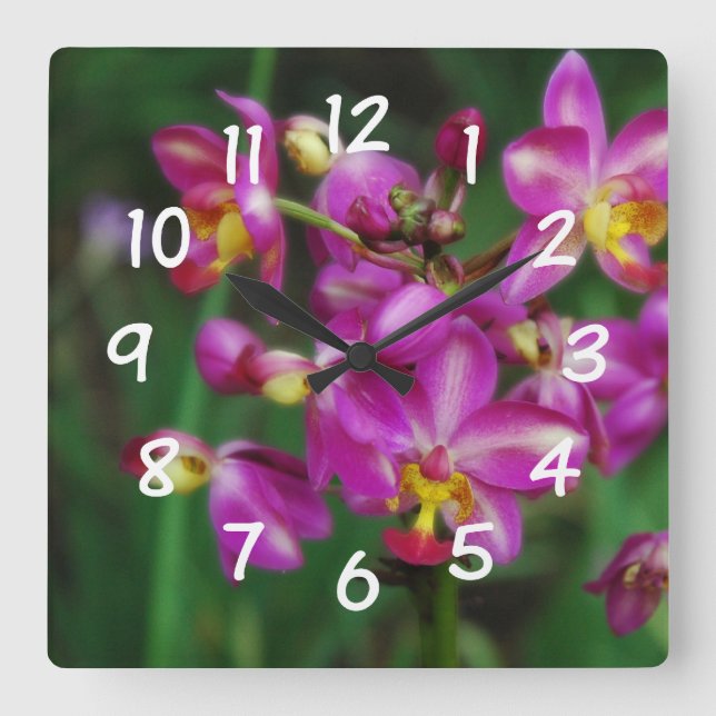 Reloj Cuadrado Sala de estar - foto púrpura de las orquídeas (Anverso)