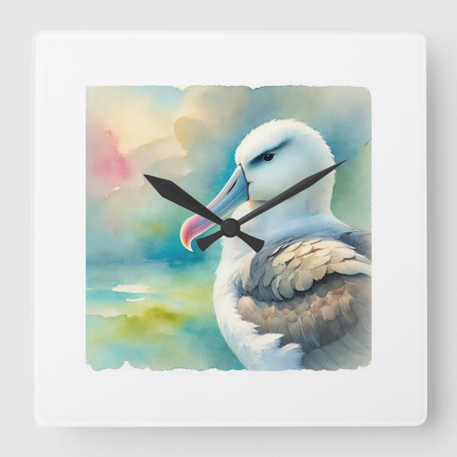 Reloj Cuadrado Salvins albatross 250924AREF134 - Watercolor (Anverso)