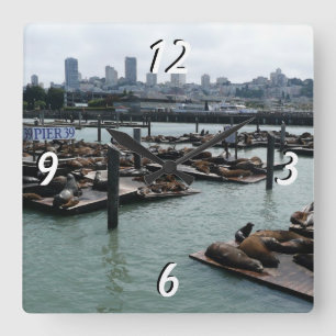 Reloj Cuadrado San Francisco y leones marinos del Pier 39 panoram