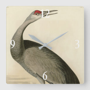 Reloj Cuadrado Sandhill Crane de los pájaros de América de Audubo