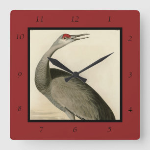 Reloj Cuadrado Sandhill Crane de los pájaros de América de Audubo