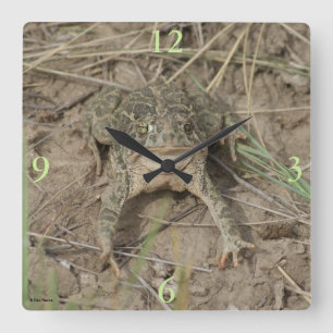 Reloj Cuadrado Sapo de la pradera R10