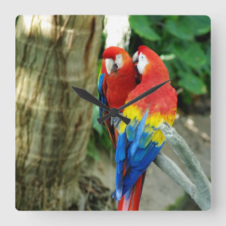 Reloj Cuadrado Scarlet Macaw Clock