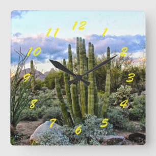 Reloj Cuadrado Scottsdale Succulent Sunset