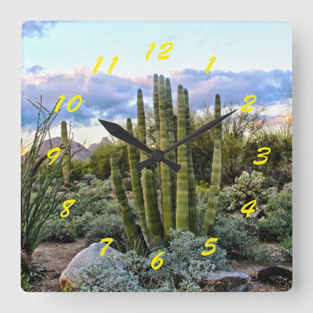 Reloj Cuadrado Scottsdale Succulent Sunset (Anverso)