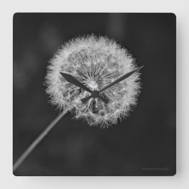 Reloj Cuadrado Se fue a la semilla