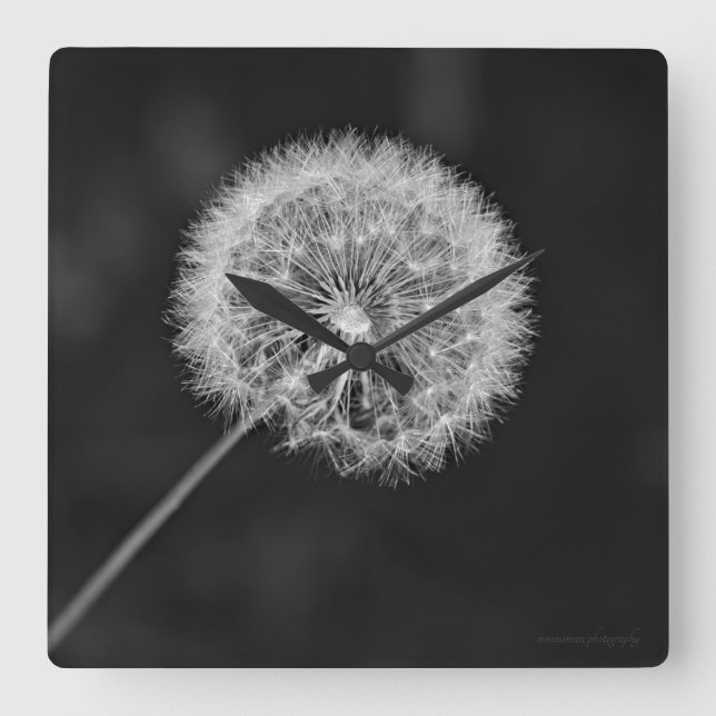 Reloj Cuadrado Se fue a la semilla (Anverso)