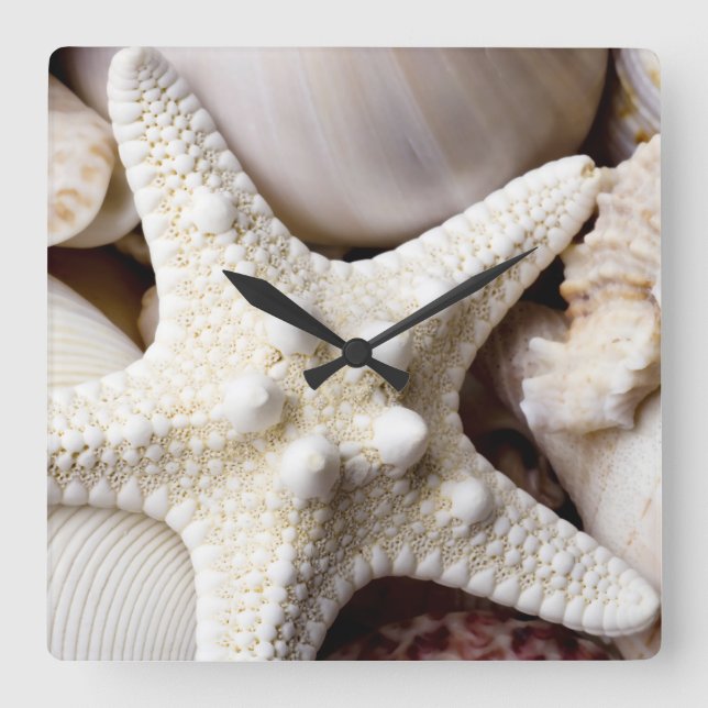 Reloj Cuadrado Sea Shell Starfish Background - Beach Shells (Anverso)