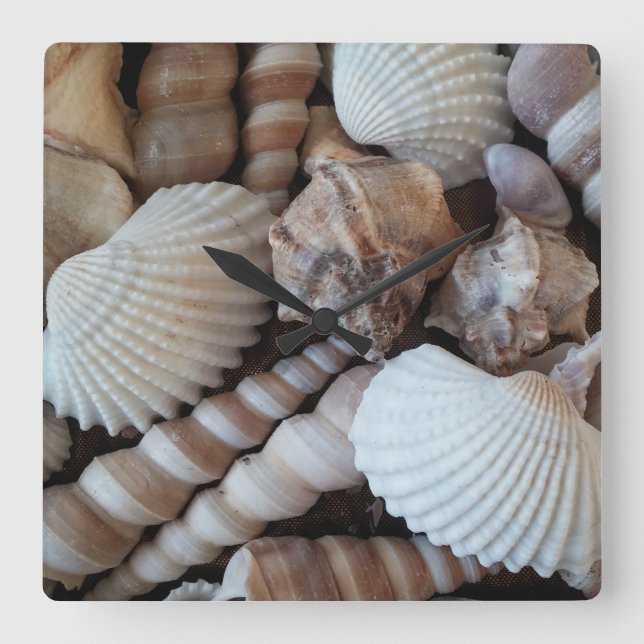 Reloj Cuadrado Sea Shells, Summer Beach Exotic Tropical Clock (Anverso)