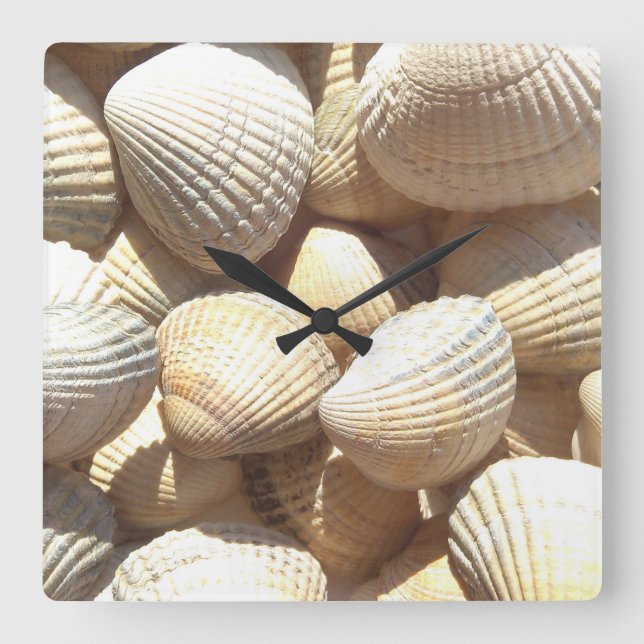 Reloj Cuadrado Sea Shells, Summer Beach Exotic Tropical Clock (Anverso)
