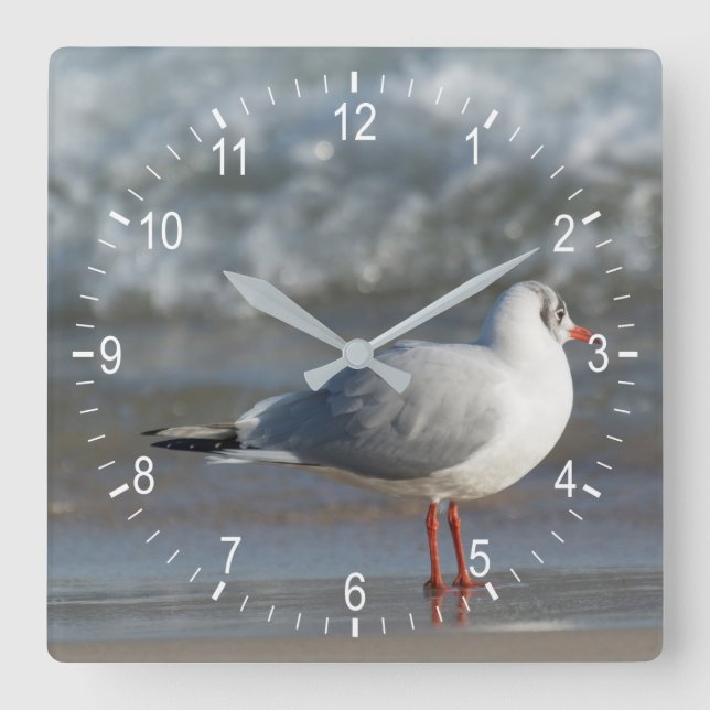 Reloj Cuadrado Seagull (Anverso)