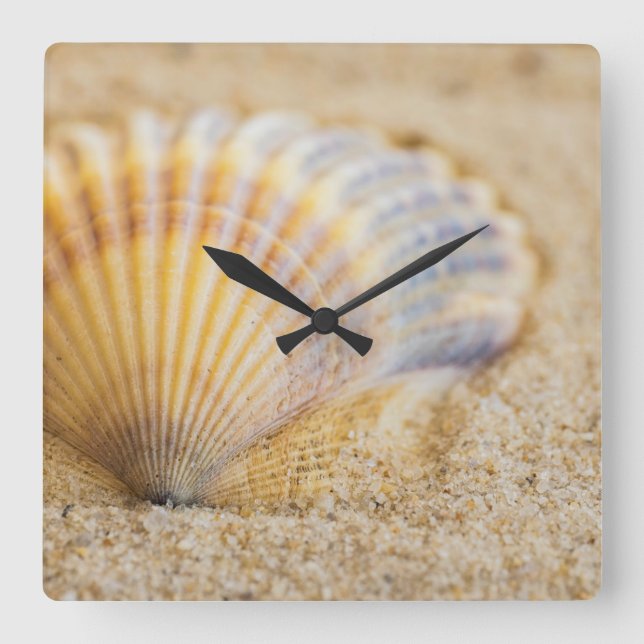 Reloj Cuadrado Seashell dulce (Anverso)