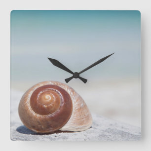 Reloj Cuadrado Seashell en la playa el   St Petersburg, la