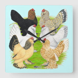 Reloj Cuadrado Seis gallinas D'Uccles