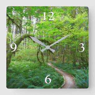 Reloj Cuadrado Sendero Ancient Groves en el Parque Nacional Olymp
