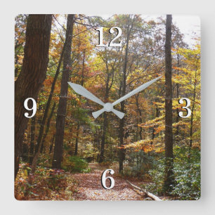Reloj Cuadrado Sendero de Otoño Iluminado por el Sol en Laurel Hi