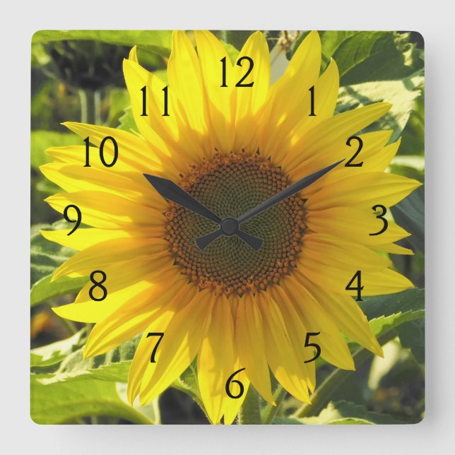 Reloj Cuadrado Serenade Sunflower (Anverso)